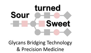 SOUR TURNED SWEET: International Meeting of Young Researchers – INNOGLY & GLYCONanoPROBES